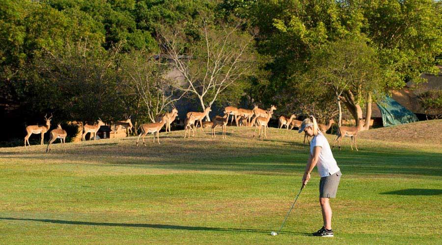 Kruger Park Lodge Хейзивью Экстерьер фото